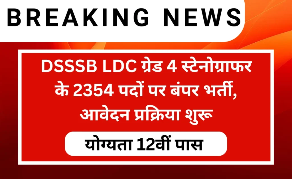 DSSSB LDC Recruitment 2024 Apply For 2354 Post